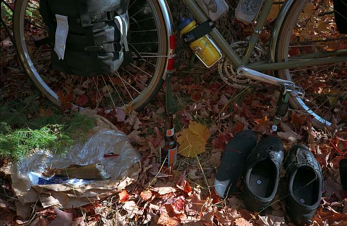 picture of bike leaning against an autumn tree, beer, smoked fish